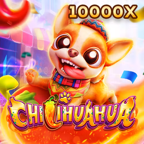 link188betmoinhat Fachai Chihuahua Portrait